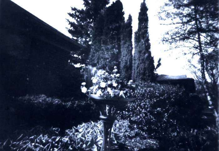 pinhole photograph