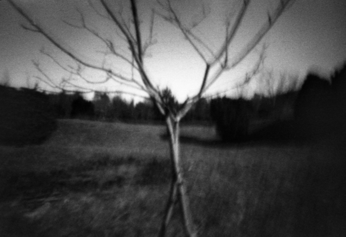 pinhole photograph