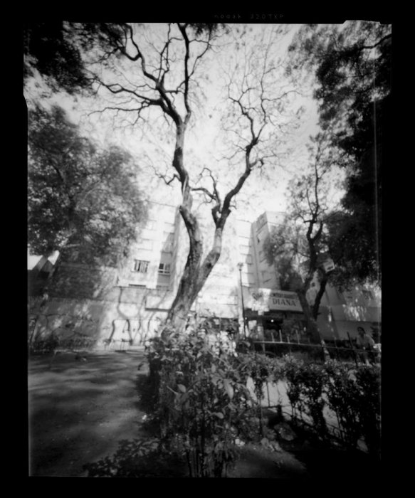 pinhole photograph