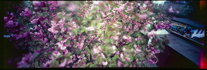 pinhole photograph