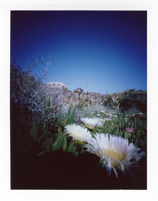 pinhole photograph