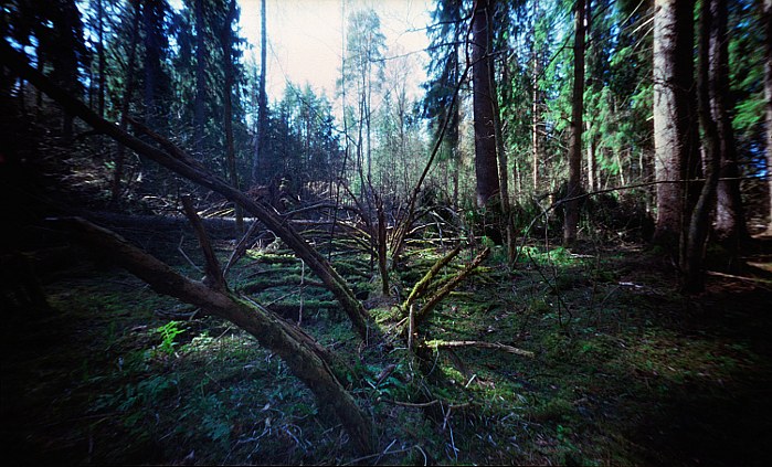 pinhole photograph