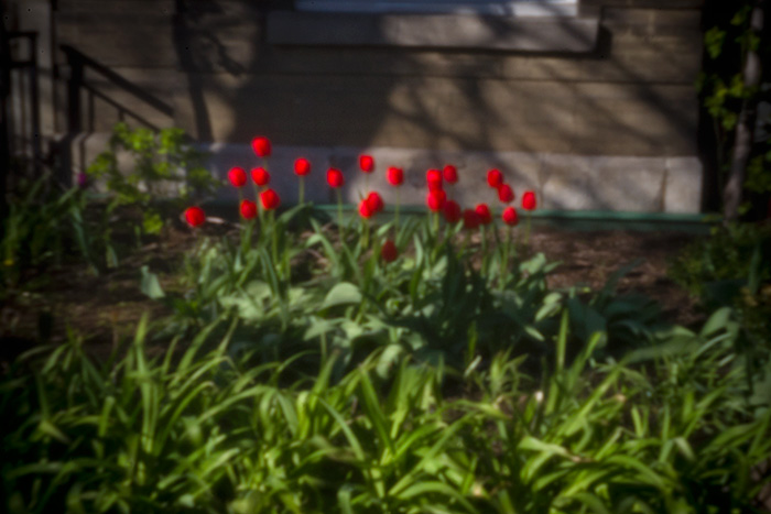 pinhole photograph