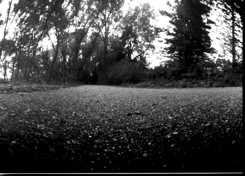 pinhole photograph