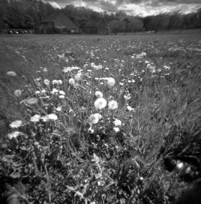 pinhole photograph