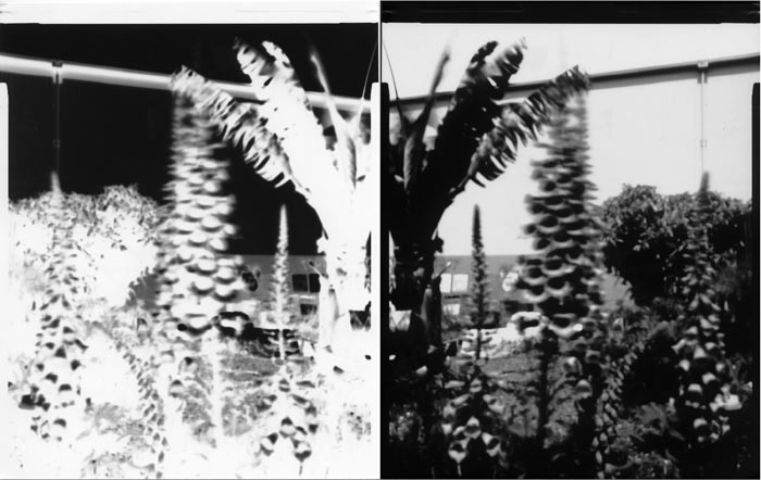 pinhole photograph