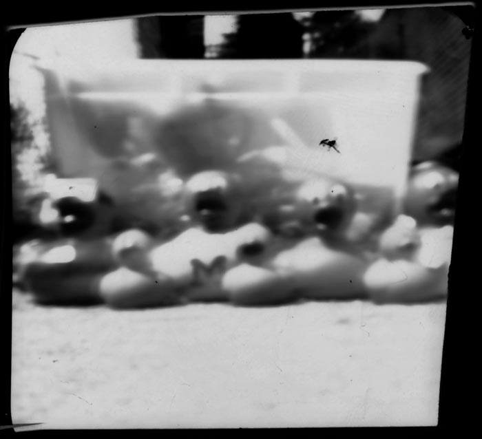 pinhole photograph