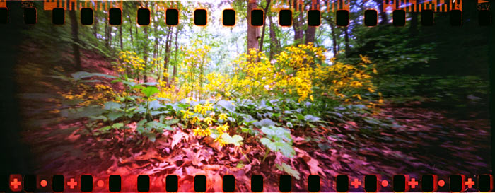 pinhole photograph