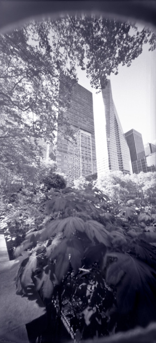 pinhole photograph