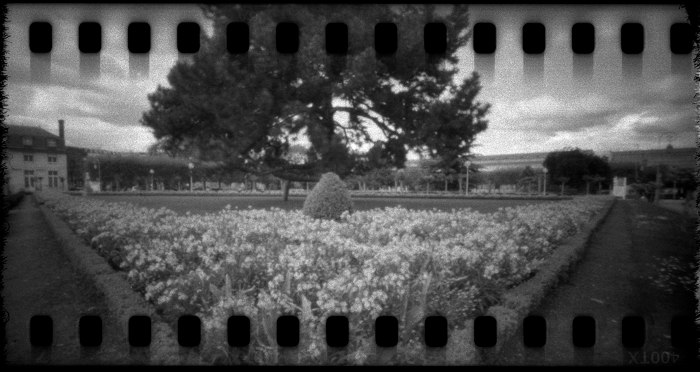 pinhole photograph