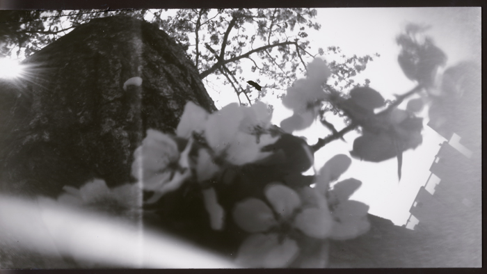 pinhole photograph