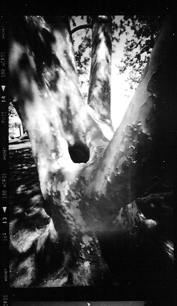 pinhole photograph