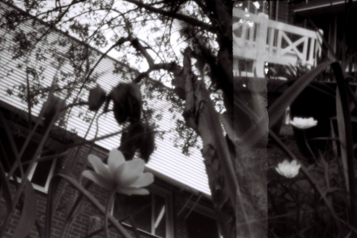 pinhole photograph