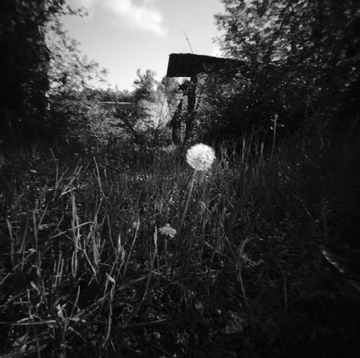 pinhole photograph