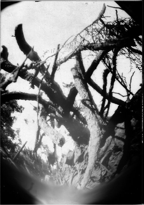 pinhole photograph