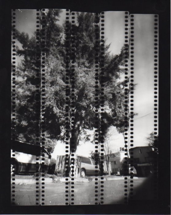 pinhole photograph