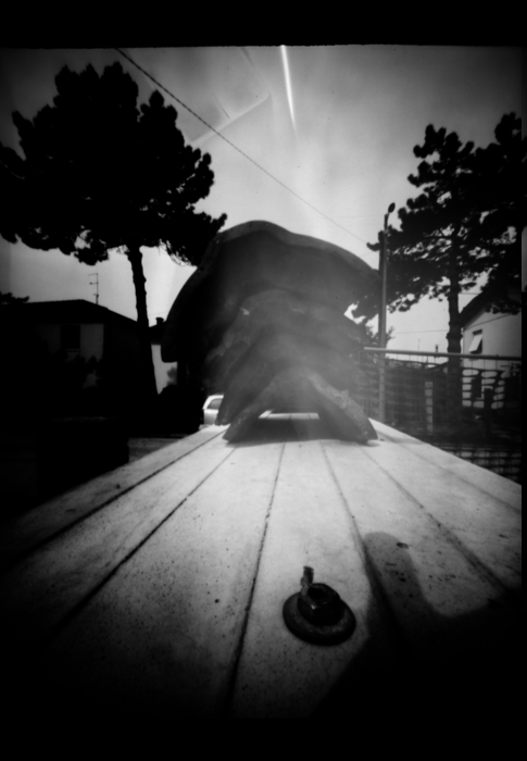 pinhole photograph