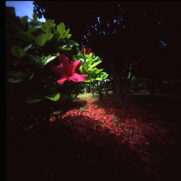 pinhole photograph