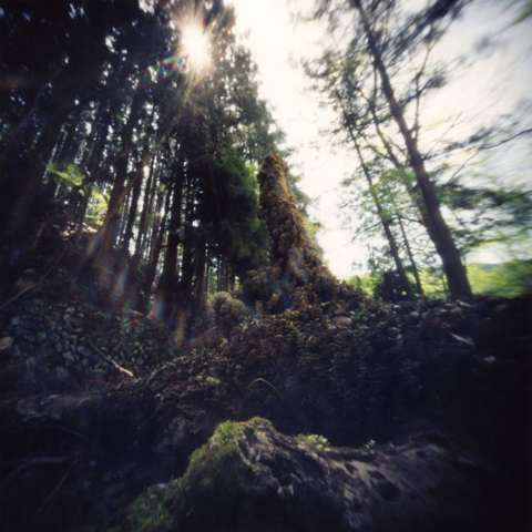 pinhole photograph