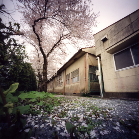 pinhole photograph