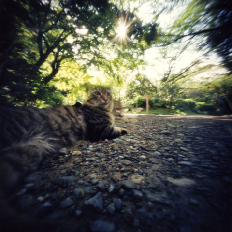 pinhole photograph