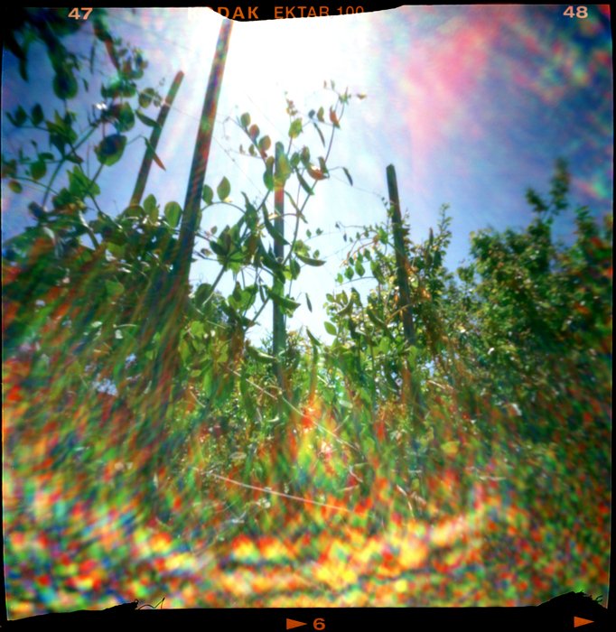 pinhole photograph