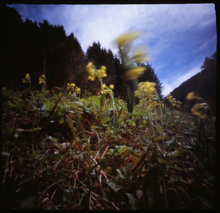 pinhole photograph