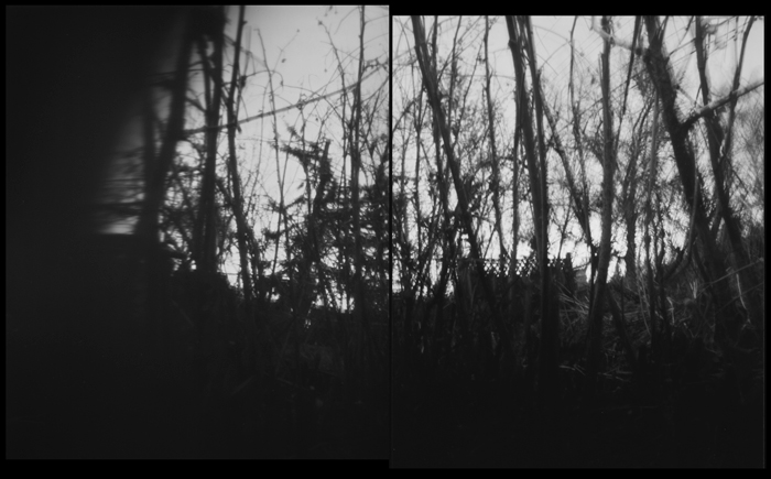 pinhole photograph