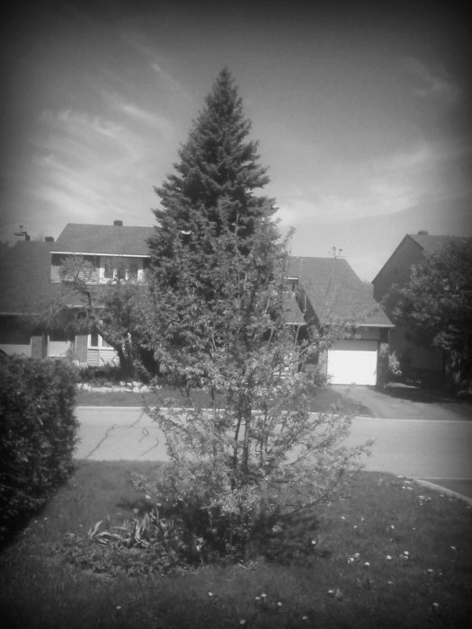 pinhole photograph