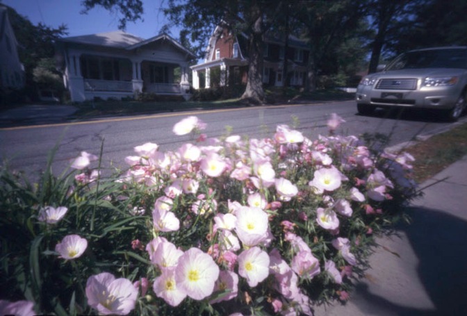 pinhole photograph