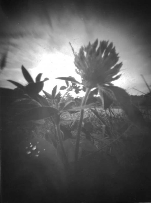 pinhole photograph