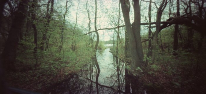 pinhole photograph