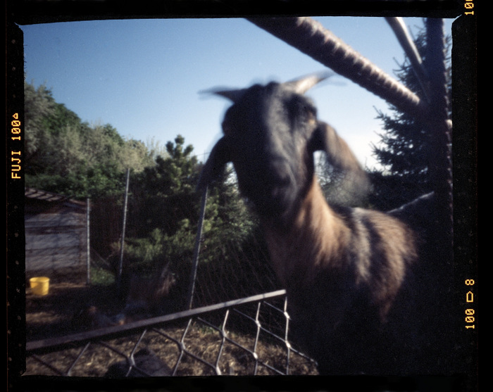 pinhole photograph