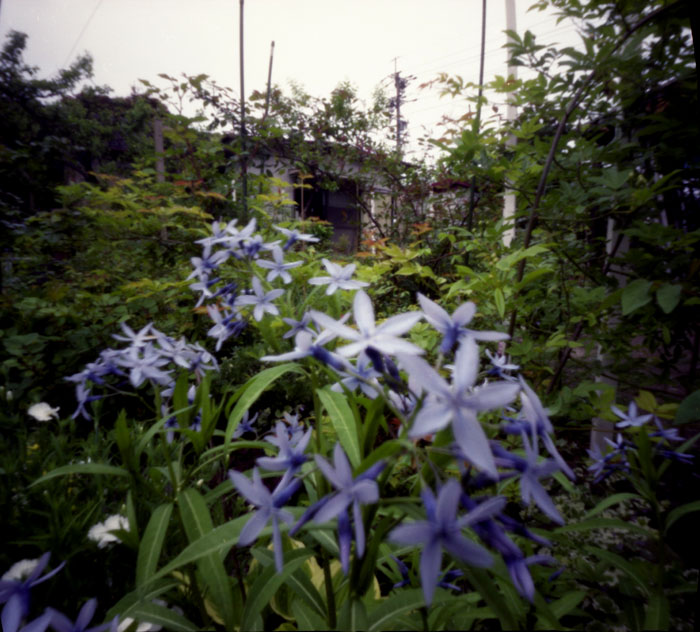 pinhole photograph