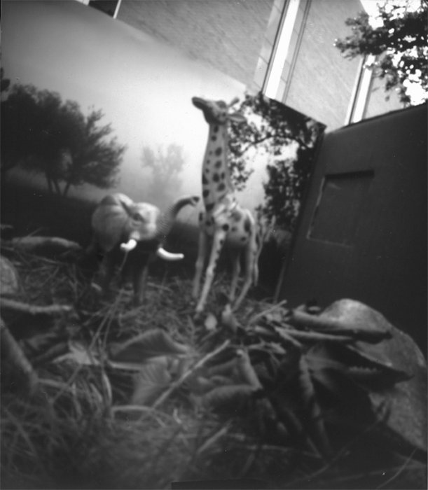 pinhole photograph