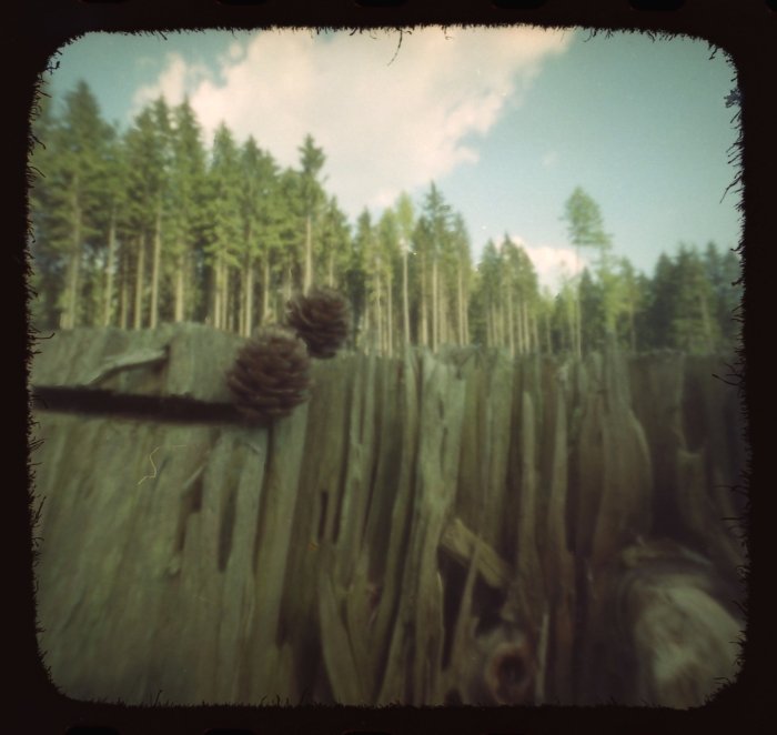 pinhole photograph