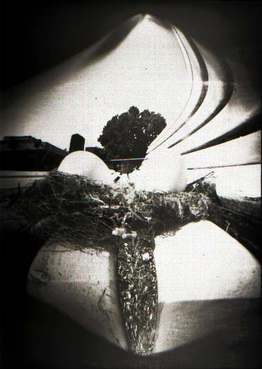 pinhole photograph