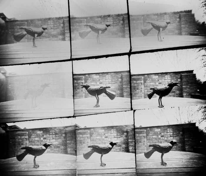 pinhole photograph