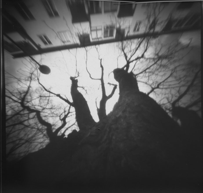 pinhole photograph