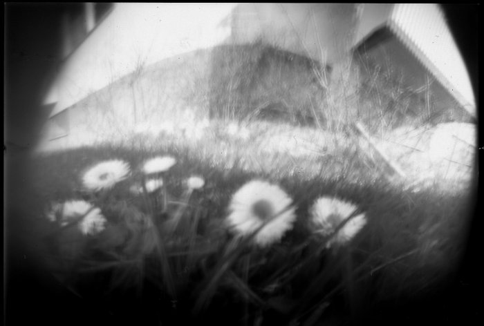 pinhole photograph