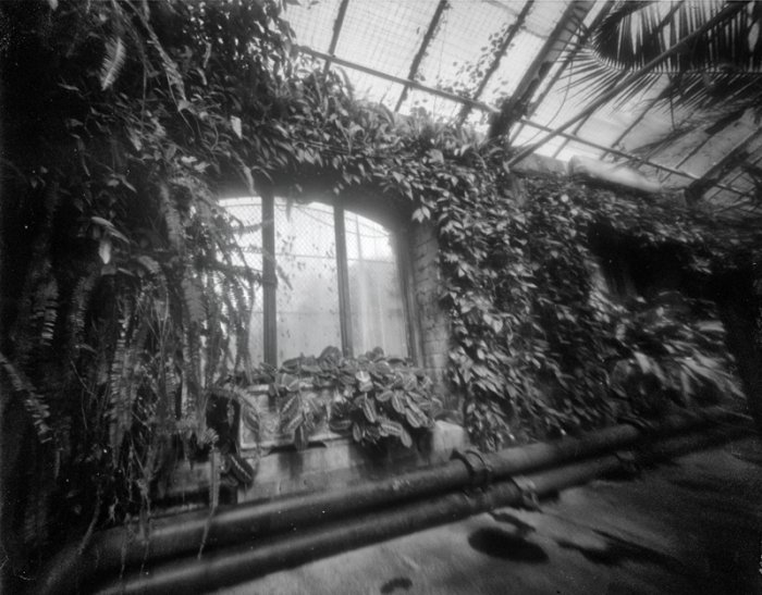 pinhole photograph