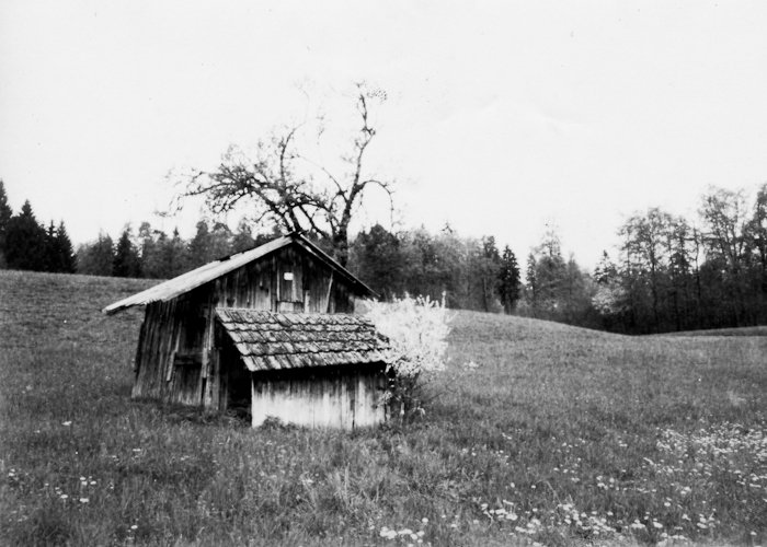 pinhole photograph