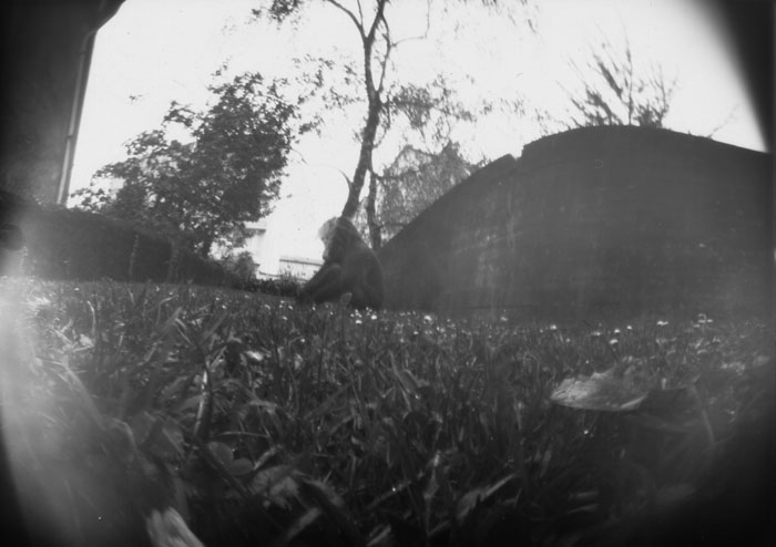 pinhole photograph