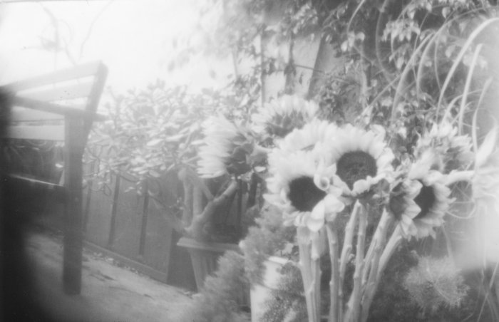 pinhole photograph