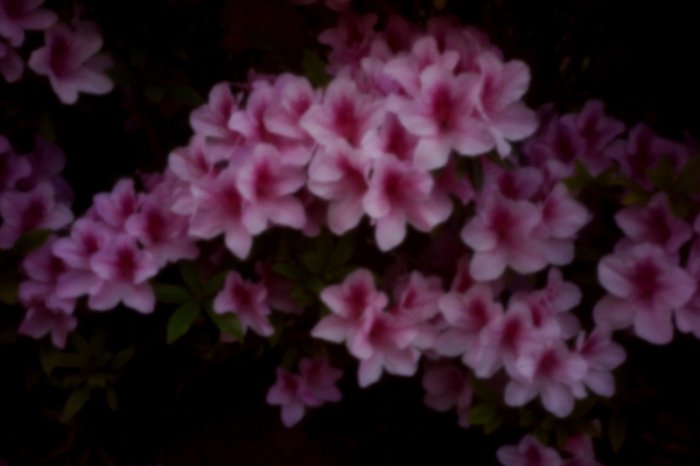 pinhole photograph