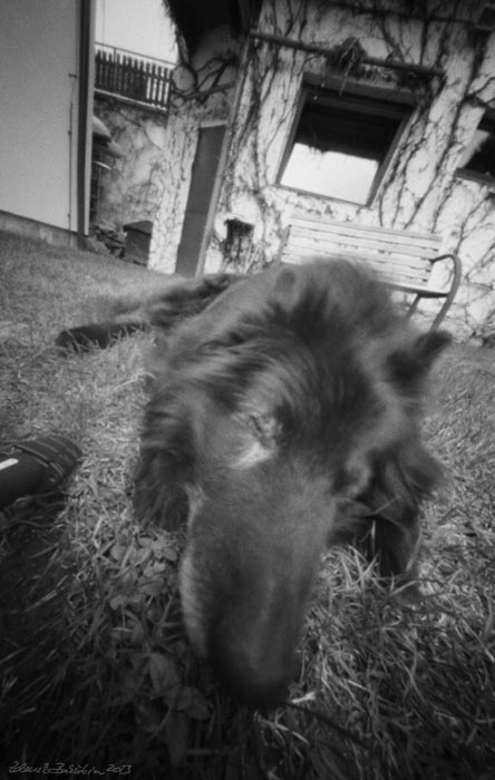 pinhole photograph