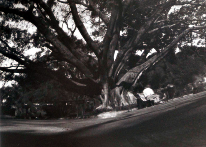 pinhole photograph