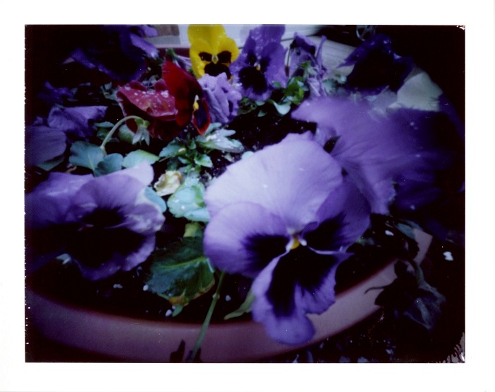 pinhole photograph