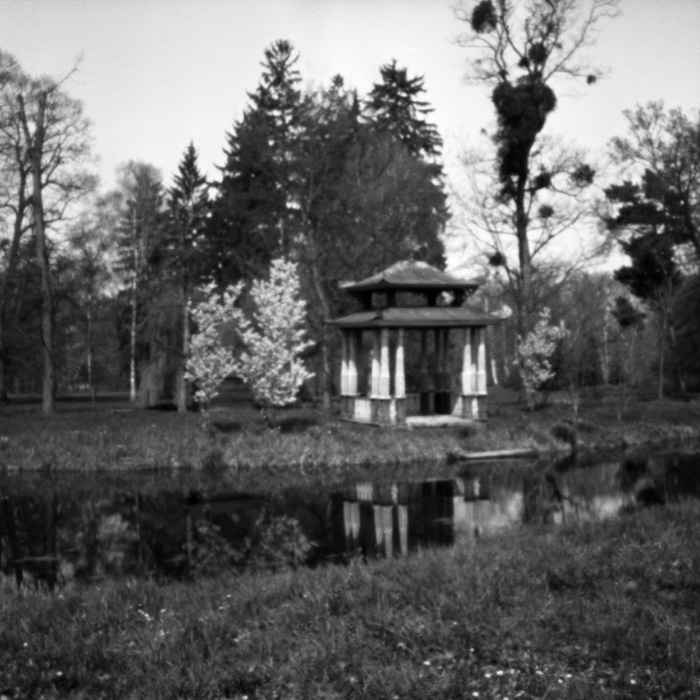 pinhole photograph