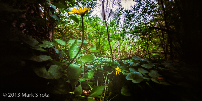 pinhole photograph